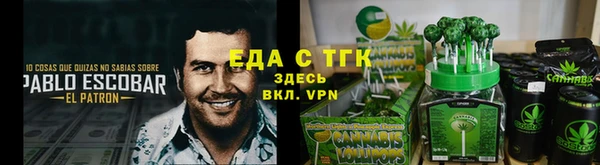 СК Медногорск