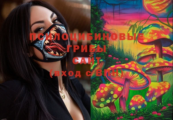 СК Медногорск