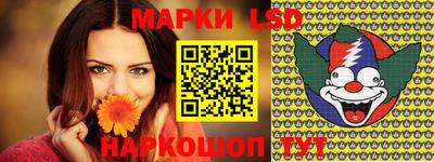 стаф Нальчик