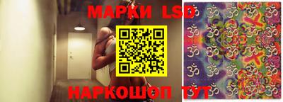 PSILOCYBIN Моздок